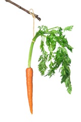 Carrot on a stick